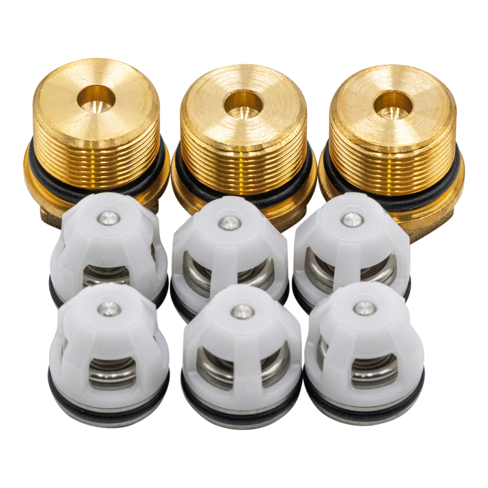 KIT 42762 CLAPETS ANTI-RETOUR AVEC BOUCHONS DE VALVE