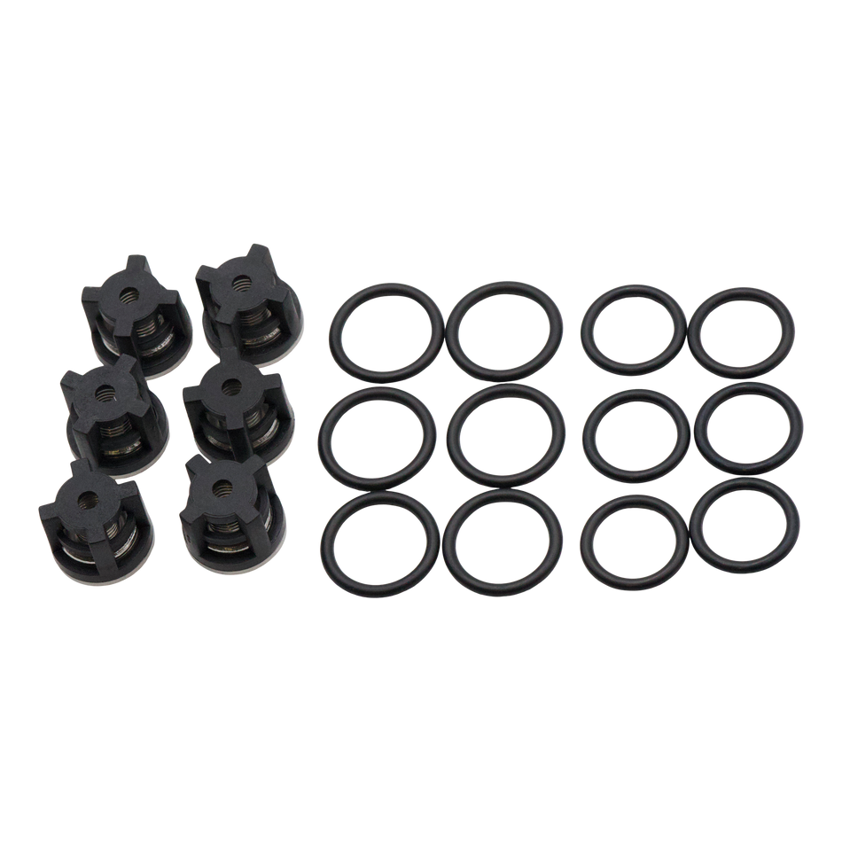 KIT DOLLY AR 1828 VALVES ET JOINTS TORIQUES