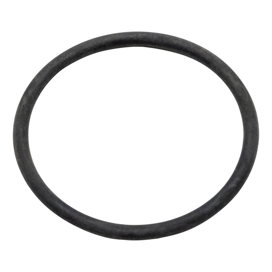 O-RING FOR GREEN CAP WATER FILTERS [BUNA N -- SIZE