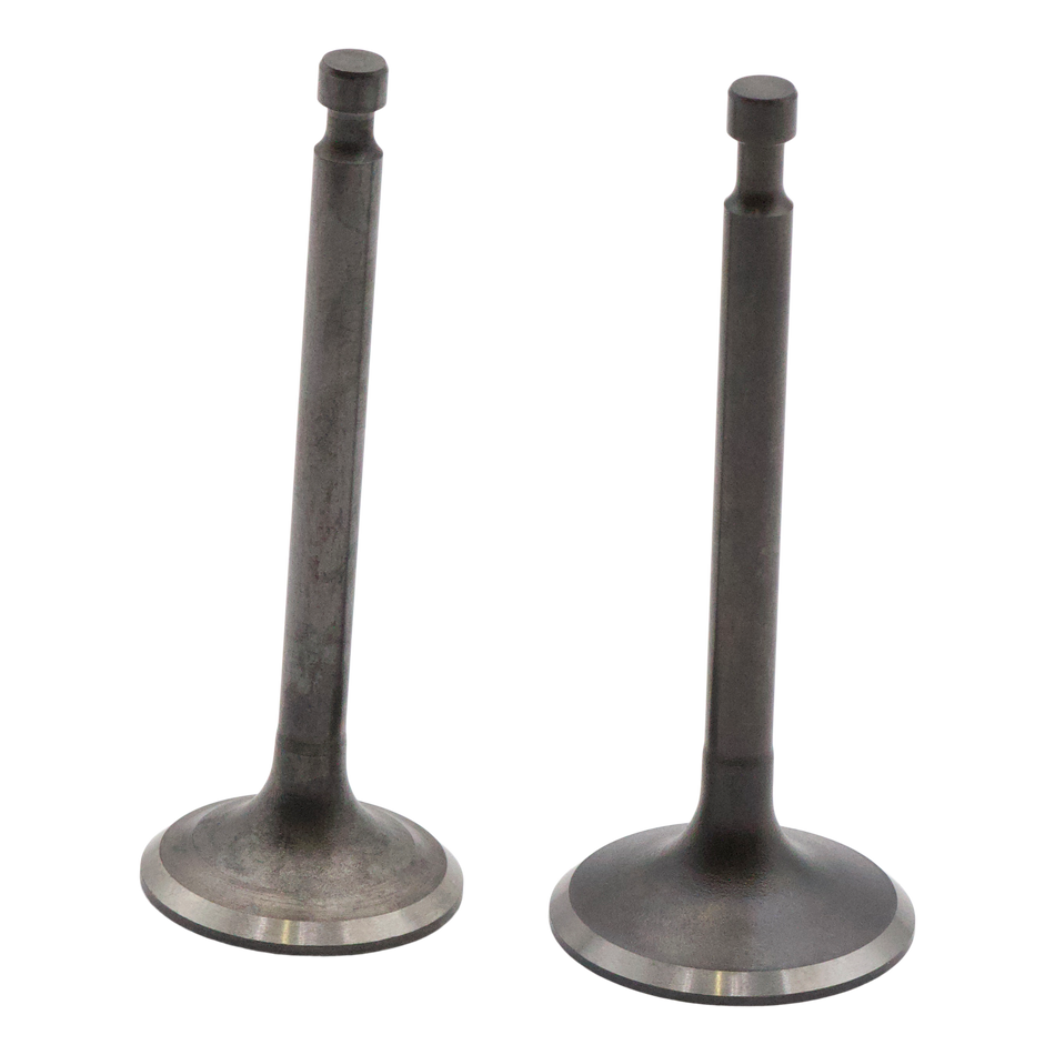 SET INTAKE & EXHAUST VALVES GX160-200