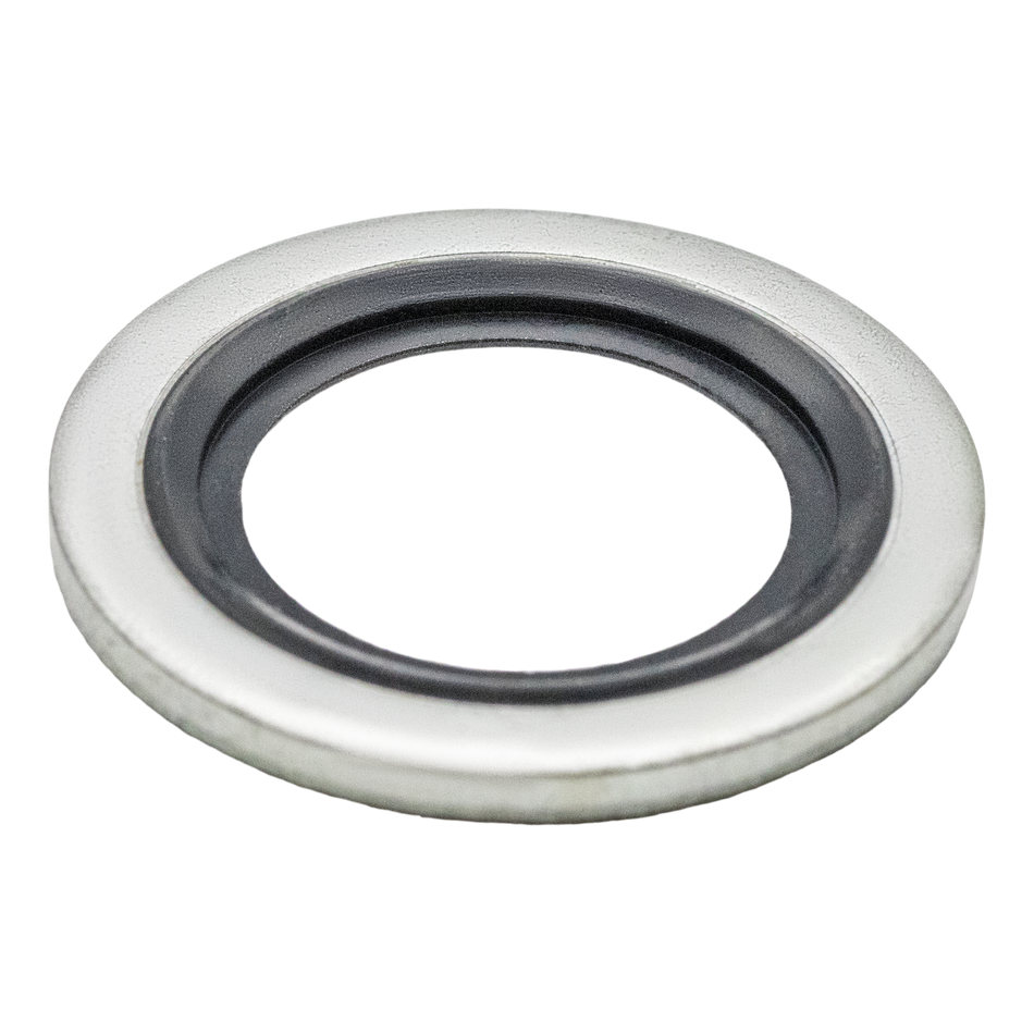1560290 WASHER W/SEAL RING 20242/20480