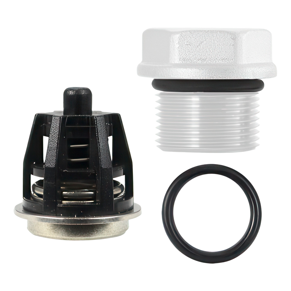 DOLLY KIT GP 01 CHECK VALVES *6 EA*
