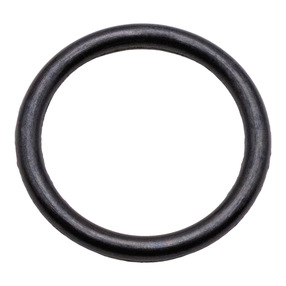 General Pump 701002 Buna-N Valve Cap O-Ring 0.799" ID - 1732