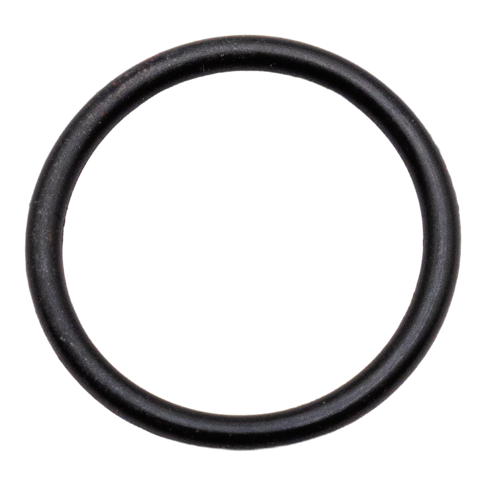 Giant Pumps 07770 Oil Seal O-Ring P200/P300 - 2811