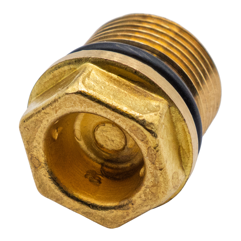 1269657 VALVE CAP XM, XT